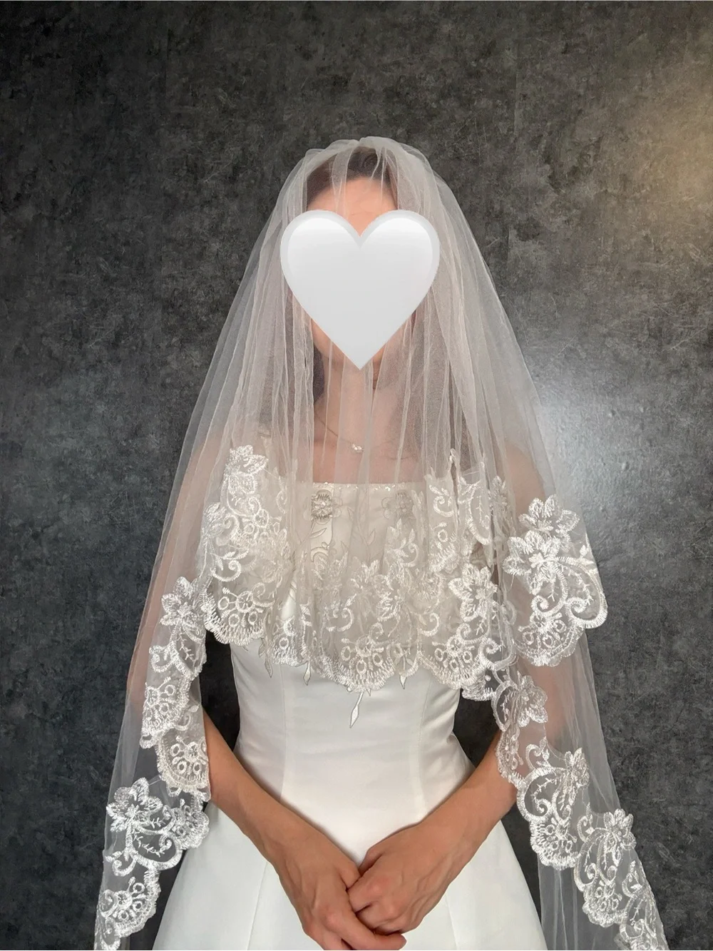 Cathedral Length Lace Wedding Veil with Blusher